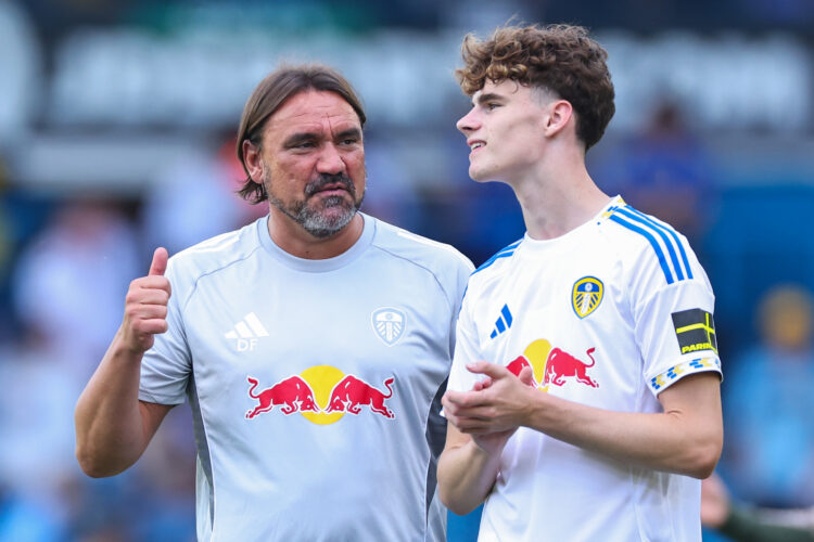Leeds United boss Daniel Farke speaks with Harry Gray during a match