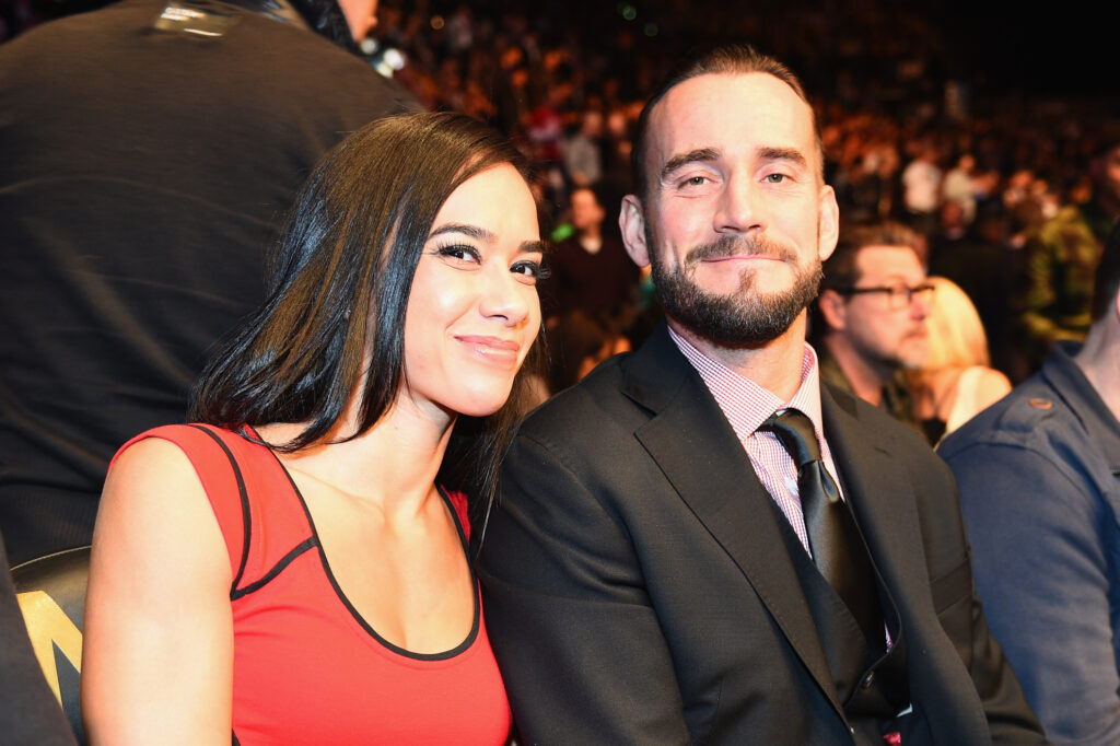 WWE stars CM Punk and AJ Lee at UFC 182