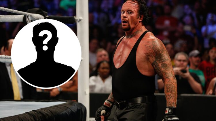 The Undertaker wrestling Brock Lesnar at WWE SummerSlam in 2015