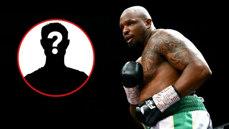 Dillian Whyte (right) in action against Christian Hammer during their heavy weight bout