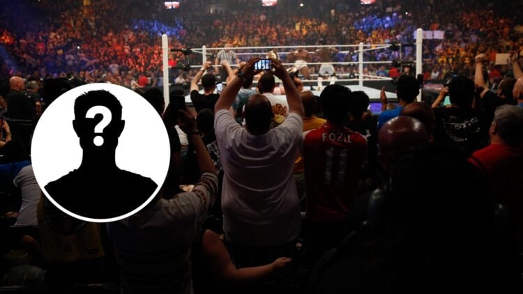 A WWE crowd at SummerSlam in 2025